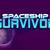 Space Ship Survivor