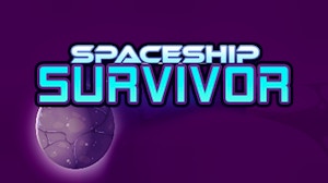 Image for Space Ship Survivor