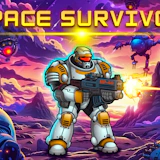 Space Survivor