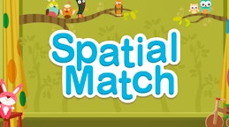 Spatial Match
