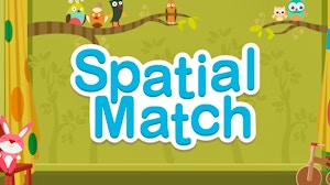 Image for Spatial Match