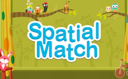 Spatial Match