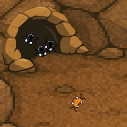 Spider VS Spider
