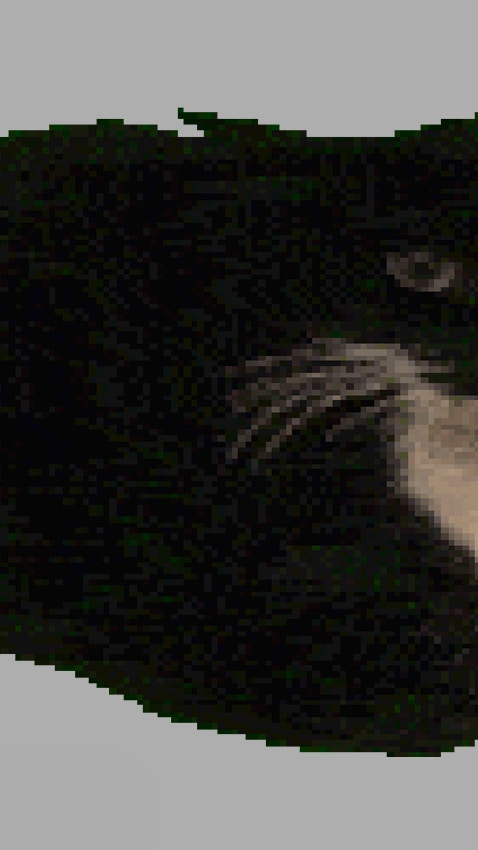 Spinning Cat Clicker