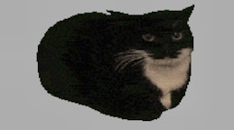 Spinning Cat Clicker