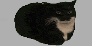 Spinning Cat Clicker thumbnail