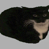 Spinning Cat Clicker