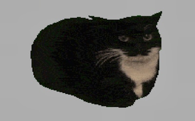 Spinning Cat Clicker game