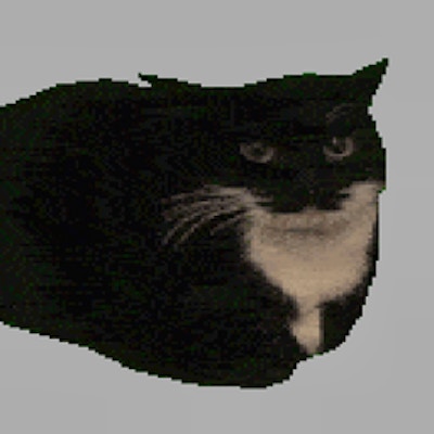 Spinning Cat Clicker By Gamepix