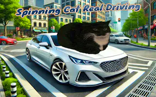 የሚሽከረከር ድመት እውነተኛ መንዳት