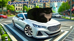 Spinning Cat Real Driving