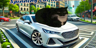Spinning Cat Real Driving thumbnail