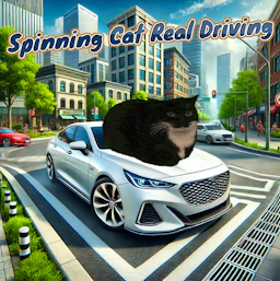 Spinning Cat Real Driving