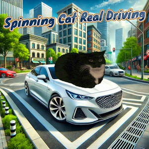 Spinning Cat Real Driving
