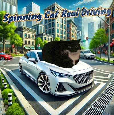 Spinning Cat Real Driving By Gamepix