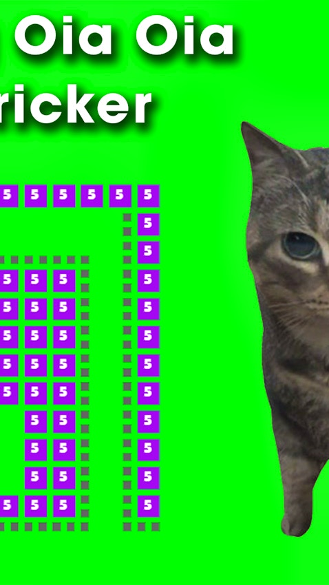 Spinning Oia Oia Cat Bricker