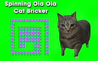 Spinning Oia Oia Cat Bricker