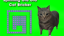 Spinning Oia Oia Cat Bricker