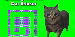 Spinning Oia Oia Cat Bricker thumbnail