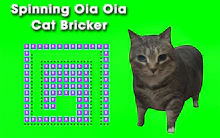 Spinning Oia Oia Cat Bricker
