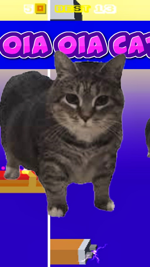 Spinning Oia Oia Cat Flap Up