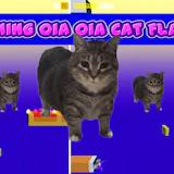 Spinning Oia Oia Cat Flap Up