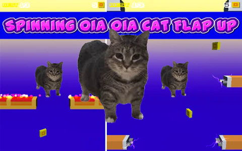 Spinning Oia Oia Cat Flap Up game thumbnail