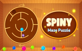 Spiny Maze Puzzle game cover