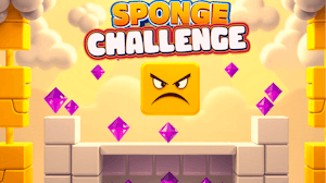 Image for Sponge Challenge