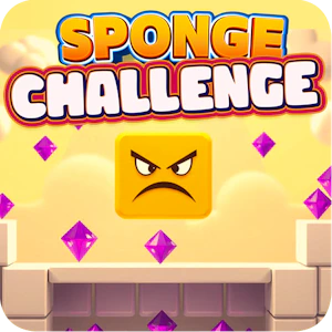 Sponge Challenge