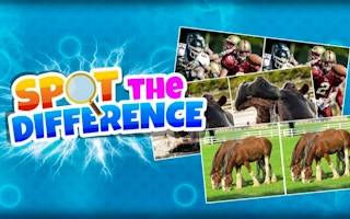 Spot The Difference Game game cover