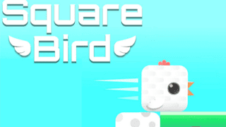 Square Bird game cover
