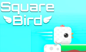 Square Bird game cover