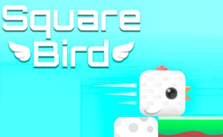 Square Bird game cover