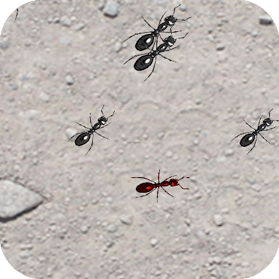 Squash These Ants 2 By Gamepix