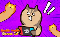 Stealth Master Sneak Cat
