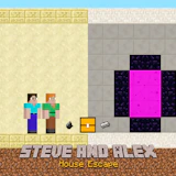 Steve and Alex House Escape