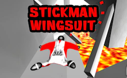 Stickman Wingsuit 3D