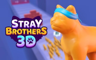 Stray Brothers game cover