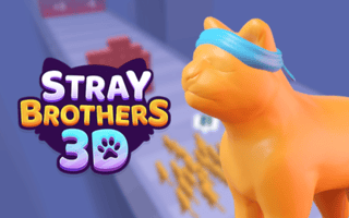 Stray Brothers game cover