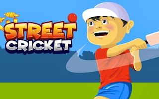 Street Cricket