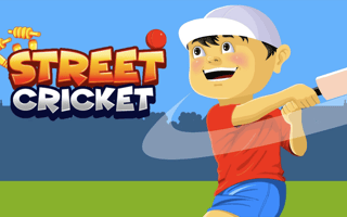Street Cricket game cover