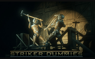Striker Dummies game cover