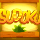 Sudoku Levels