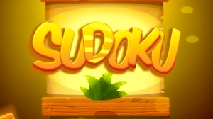 Image for Sudoku Levels