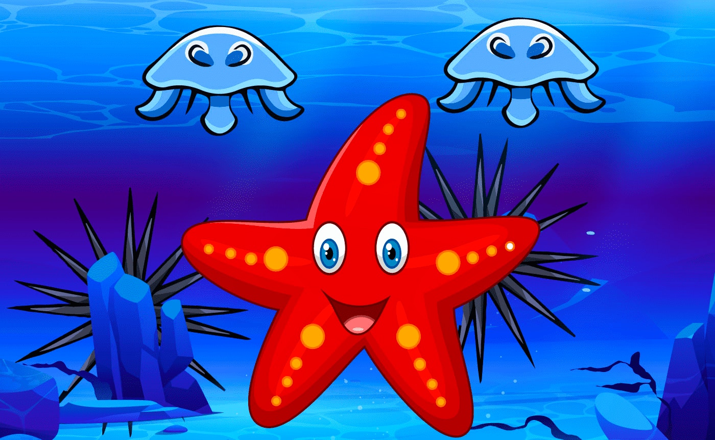 Survival Starfish