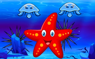 Survival Starfish game cover