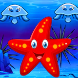 Survival Starfish