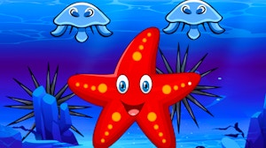 Image for Survival Starfish