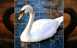 Swan Puzzle Challenge game cover